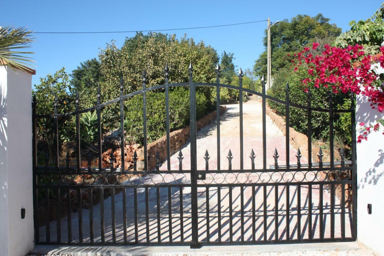 Affittacamere Quinta Teresinha Silves Esterno foto