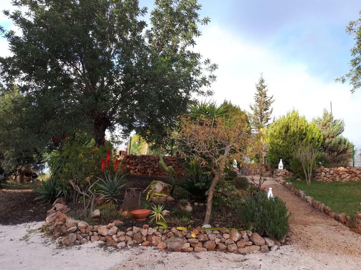Affittacamere Quinta Teresinha Silves Esterno foto